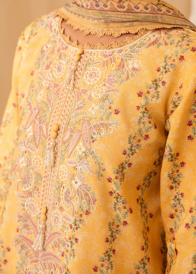 Nureh | Shades of Winter | ALARA (AZ-07) -  Nureh Ladies Clothes - Original Designer Dress - House of Maryam