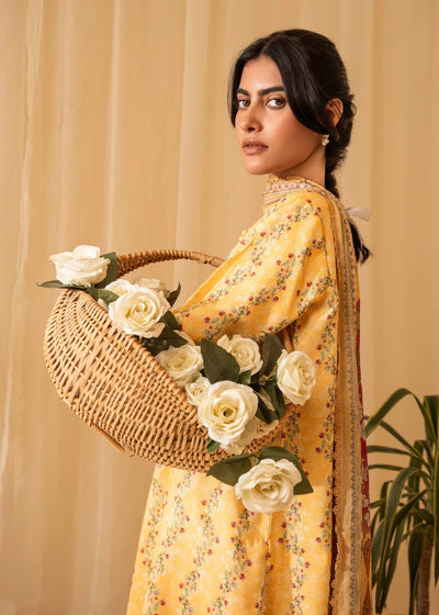 Nureh | Shades of Winter | ALARA (AZ-07) -  Nureh Ladies Clothes - Original Designer Dress - House of Maryam