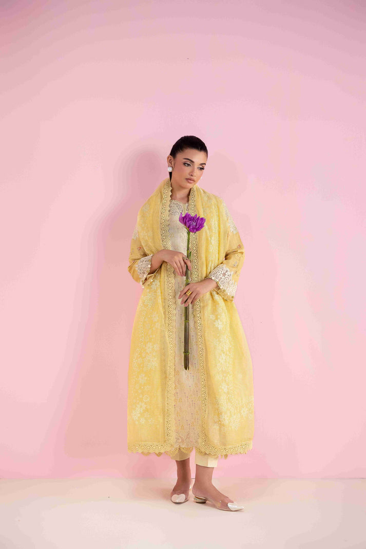 Aabyaan | Eid Pret 25 |MAHVEEN AP-04