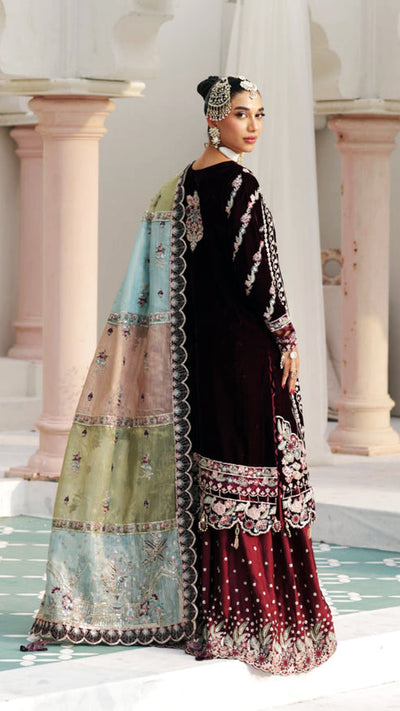 Zebtan | Andaz e Makhmal | ZAM-04 -  Zebtan Ladies Clothes - Original Designer Dress - House of Maryam