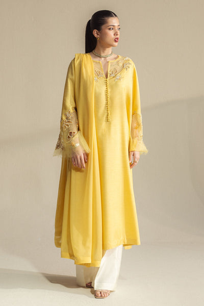 Zara Shahjahan | Fall Festive 24 | ZC-2073 -  Zara Shahjahan Ladies Clothes - Original Designer Dress - House of Maryam