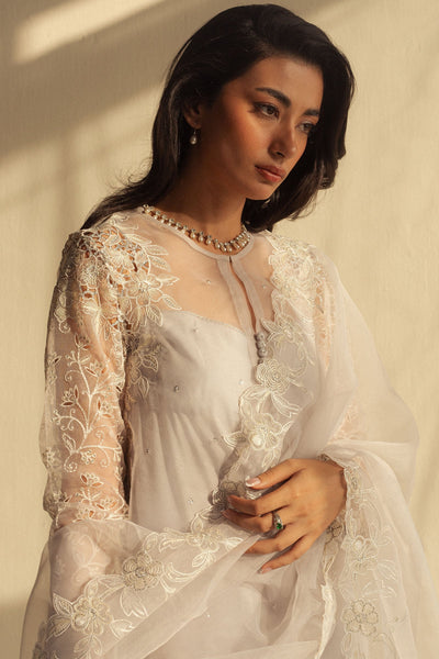 Zara Shahjahan | Fall Festive 24 | ZC-2076 -  Zara Shahjahan Ladies Clothes - Original Designer Dress - House of Maryam