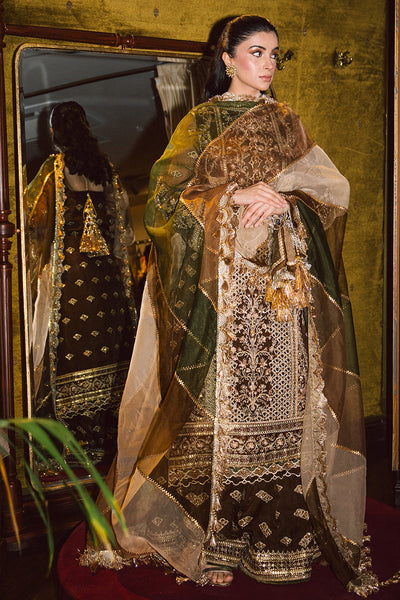 MNR | Zarlish Festive 25 | Zahra Sarfraz in Tabeer