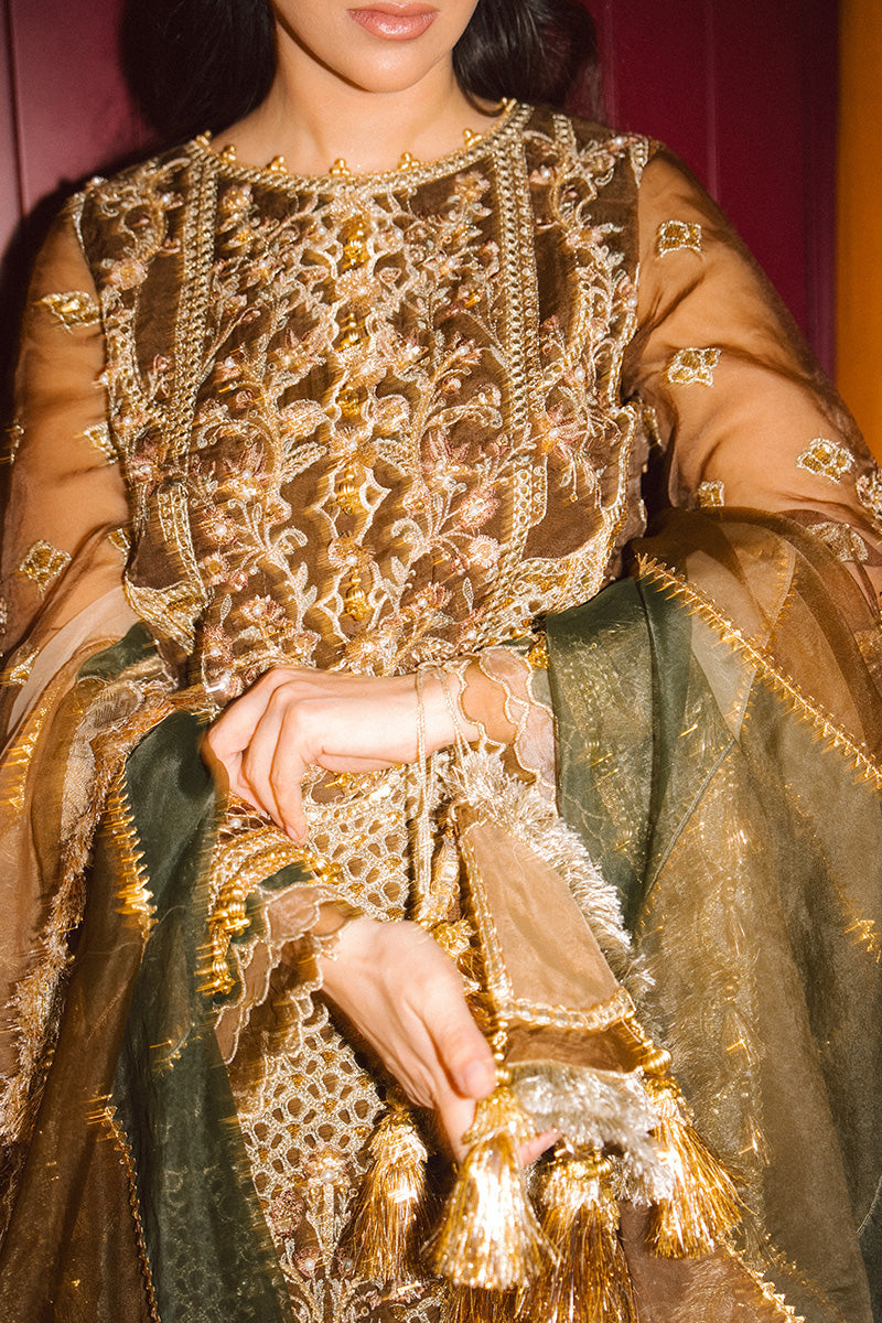 MNR | Zarlish Festive 25 | Zahra Sarfraz in Tabeer, image 3
