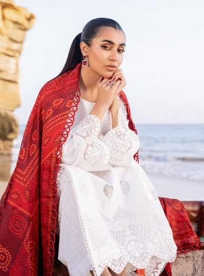 Zainab chottani | Luxury Chikankari 24 | CHUNARI - 3A -  Zainab Chottani Luxury - Original Designer Dress - House of Maryam