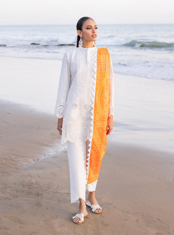 Zainab chottani | Luxury Chikankari 24 | CHUNARI - 3B by Designer Zainab Chottani - House of Maryam - Pakistani Designer Ethnic Wear in {{ shop.shopifyCountryName }}