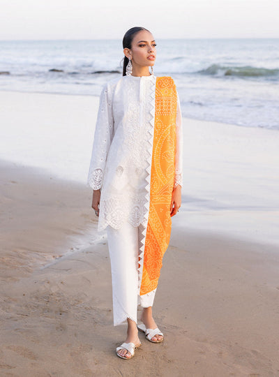 Zainab chottani | Luxury Chikankari 24 | CHUNARI - 3B -  Zainab Chottani Luxury - Original Designer Dress - House of Maryam
