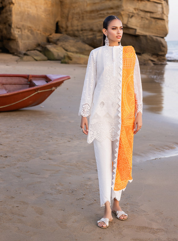 Zainab chottani | Luxury Chikankari 24 | CHUNARI - 3B -  Zainab Chottani Luxury - Original Designer Dress - House of Maryam