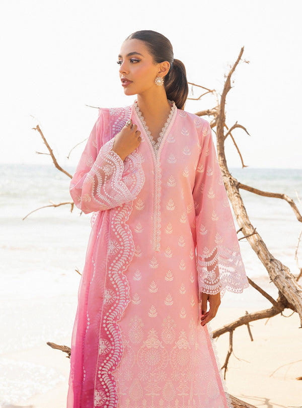 Zainab chottani | Luxury Chikankari 24 | AMYRA - 8B by Designer Zainab Chottani - House of Maryam - Pakistani Designer Ethnic Wear in {{ shop.shopifyCountryName }}