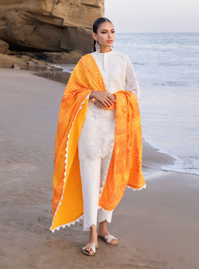 Zainab chottani | Luxury Chikankari 24 | CHUNARI - 3B -  Zainab Chottani Luxury - Original Designer Dress - House of Maryam