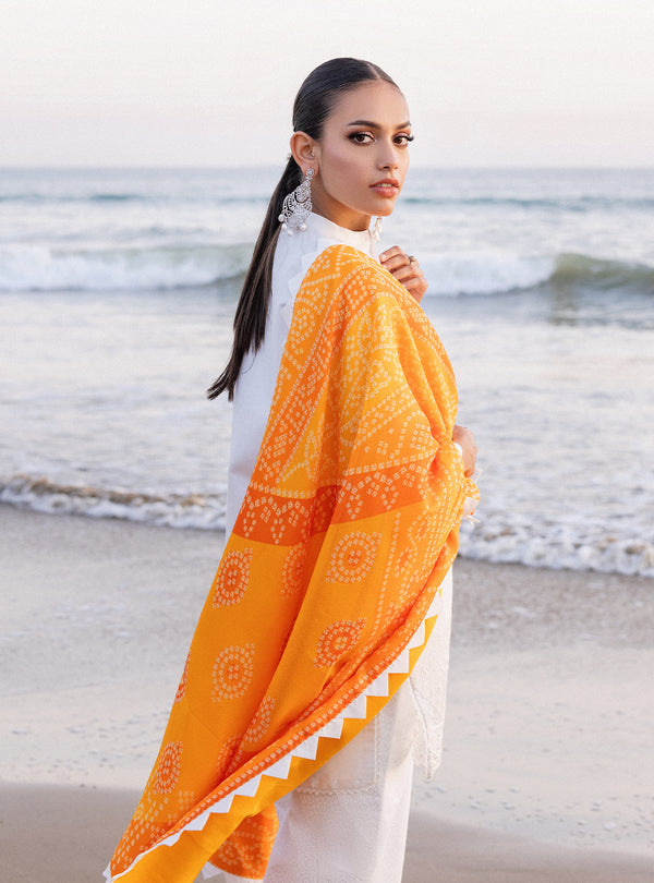 Zainab chottani | Luxury Chikankari 24 | CHUNARI - 3B -  Zainab Chottani Luxury - Original Designer Dress - House of Maryam