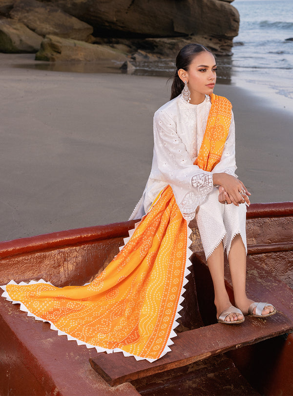 Zainab chottani | Luxury Chikankari 24 | CHUNARI - 3B -  Zainab Chottani Luxury - Original Designer Dress - House of Maryam
