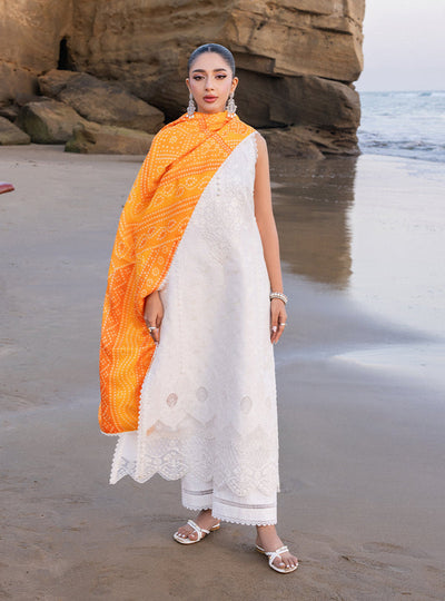 Zainab chottani | Luxury Chikankari 24 | CHUNARI - 3B -  Zainab Chottani Luxury - Original Designer Dress - House of Maryam