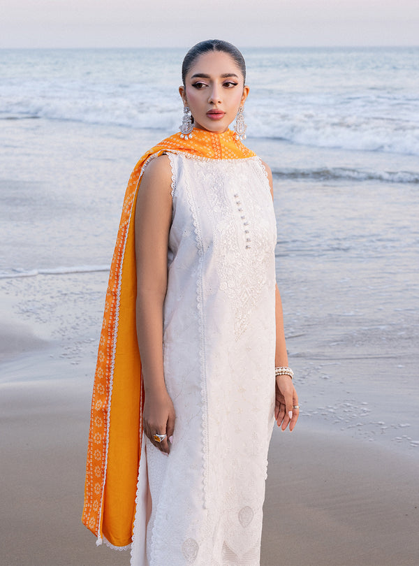 Zainab chottani | Luxury Chikankari 24 | CHUNARI - 3B -  Zainab Chottani Luxury - Original Designer Dress - House of Maryam