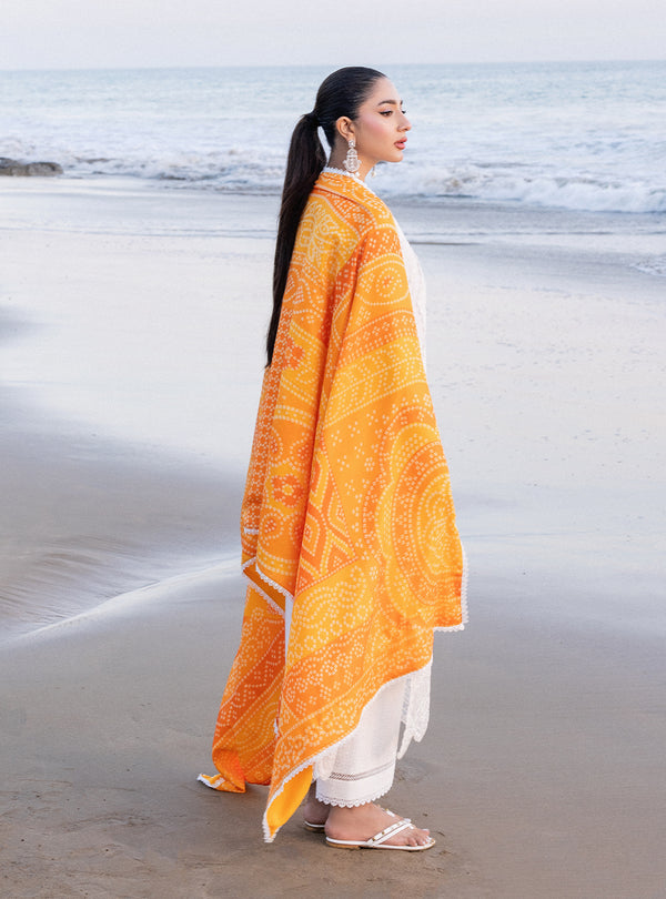 Zainab chottani | Luxury Chikankari 24 | CHUNARI - 3B -  Zainab Chottani Luxury - Original Designer Dress - House of Maryam