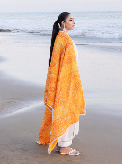 Zainab chottani | Luxury Chikankari 24 | CHUNARI - 3B -  Zainab Chottani Luxury - Original Designer Dress - House of Maryam