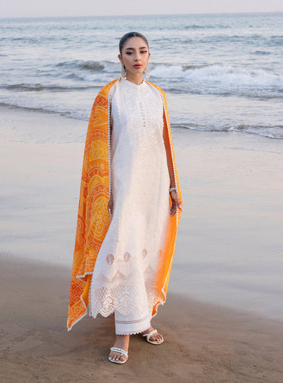 Zainab chottani | Luxury Chikankari 24 | CHUNARI - 3B -  Zainab Chottani Luxury - Original Designer Dress - House of Maryam