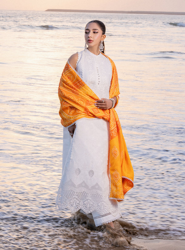 Zainab chottani | Luxury Chikankari 24 | CHUNARI - 3B -  Zainab Chottani Luxury - Original Designer Dress - House of Maryam