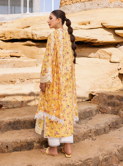 Zainab chottani | Luxury Chikankari 24 | ESME - 9B -  Zainab Chottani Luxury - Original Designer Dress - House of Maryam