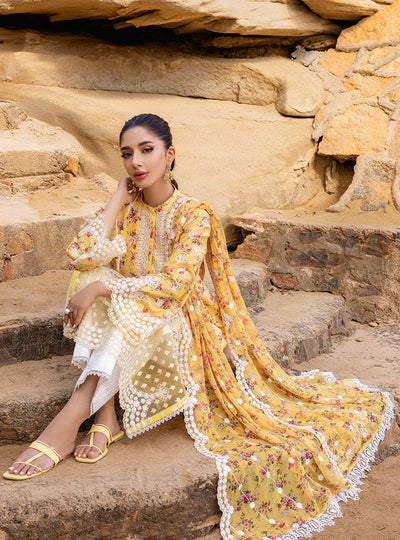 Zainab chottani | Luxury Chikankari 24 | ESME - 9B -  Zainab Chottani Luxury - Original Designer Dress - House of Maryam