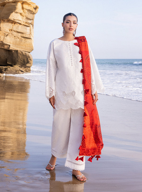 Zainab chottani | Luxury Chikankari 24 | CHUNARI - 3A -  Zainab Chottani Luxury - Original Designer Dress - House of Maryam