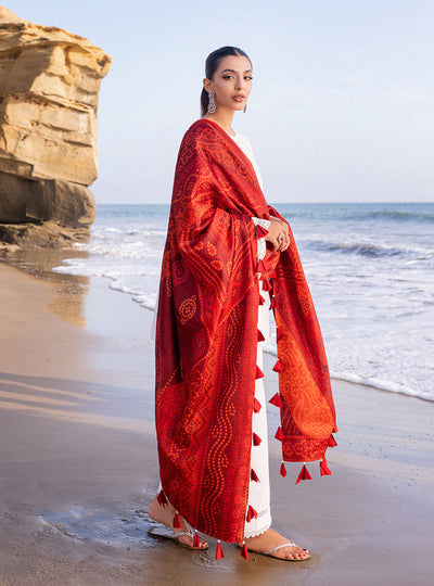Zainab chottani | Luxury Chikankari 24 | CHUNARI - 3A -  Zainab Chottani Luxury - Original Designer Dress - House of Maryam