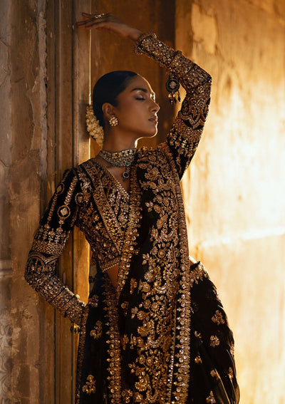 Aik Atelier Dastoor - Look 04 embroidered chiffon saree with velvet blouse, photo 3