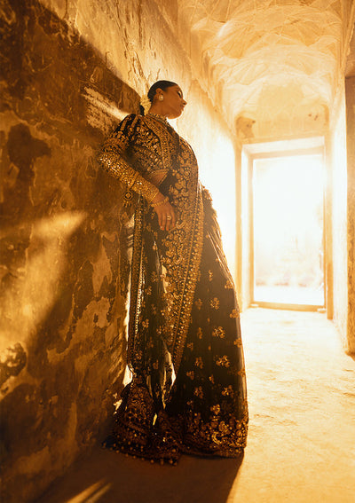Aik Atelier Dastoor - Look 04 embroidered chiffon saree with velvet blouse, photo 6