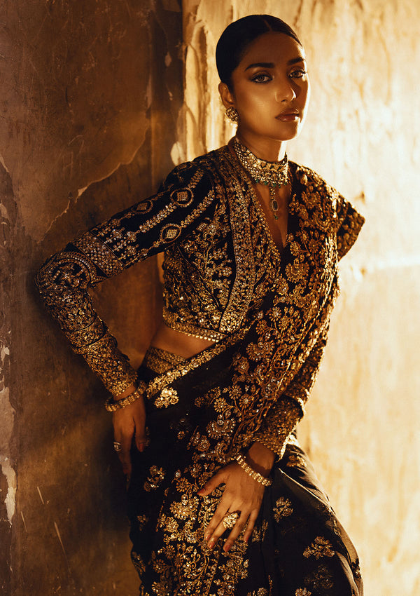 Aik Atelier Dastoor - Look 04 embroidered chiffon saree with velvet blouse, photo 4