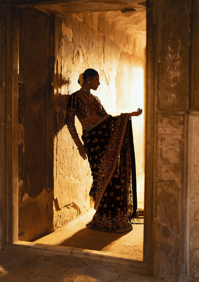 Aik Atelier Dastoor - Look 04 embroidered chiffon saree with velvet blouse, photo 5