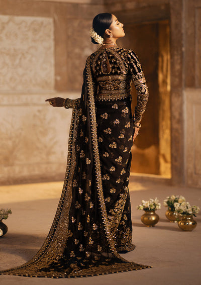Aik Atelier Dastoor - Look 04 embroidered chiffon saree with velvet blouse, photo 2