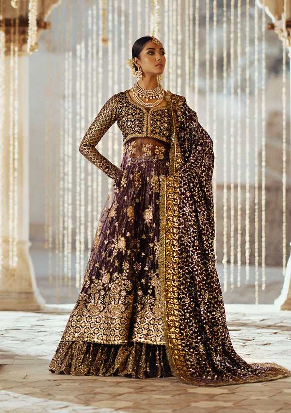 Aik Atelier Dastoor - Look 10 violet velvet and net formal suit