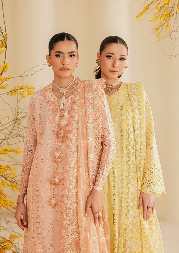 Aik Atelier | Lawn 26 | Look B2604B-Brand:Aik Atelier-Type:Ladies Clothes-Light Peach Pink-Lawn-House of Maryam- Buy in UK, USA