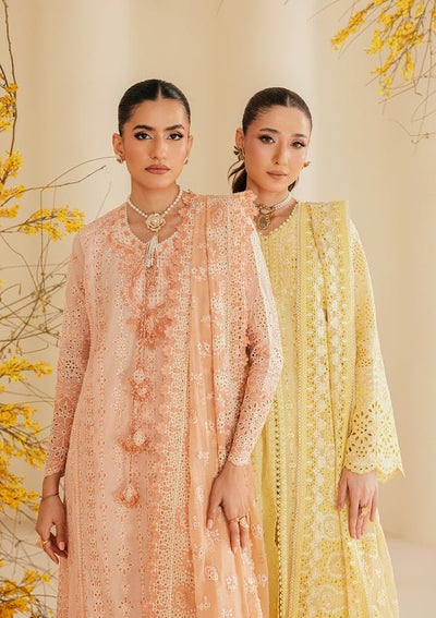 Aik Atelier | Lawn 26 | Look B2604B-Brand:Aik Atelier-Type:Ladies Clothes-Light Peach Pink-Lawn-House of Maryam- Buy in UK, USA