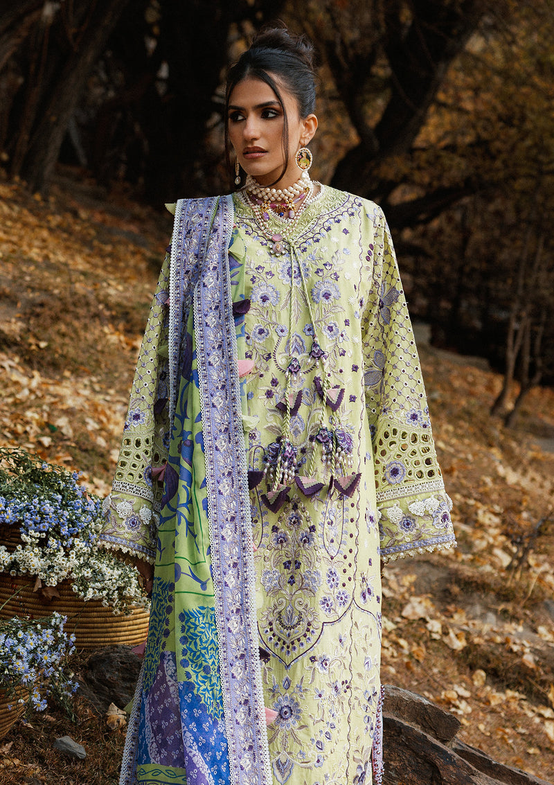 Aik Atelier | Lawn 26 | LOOK 10-3