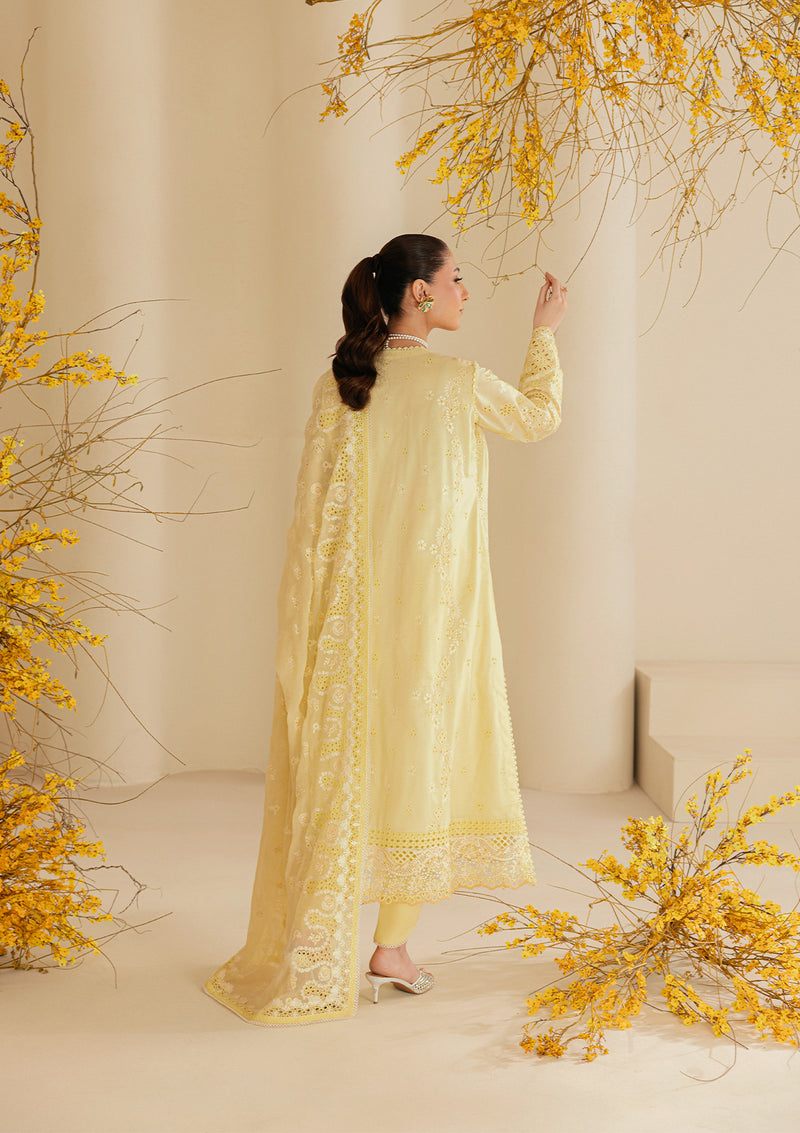 Aik Atelier | Lawn 26 | Look B2604A-2