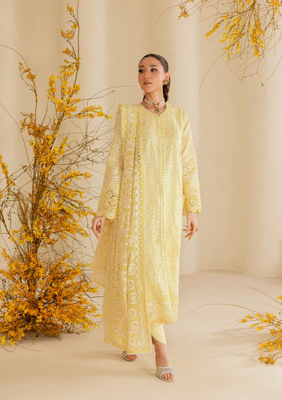 Aik Atelier | Lawn 26 | Look B2604A
