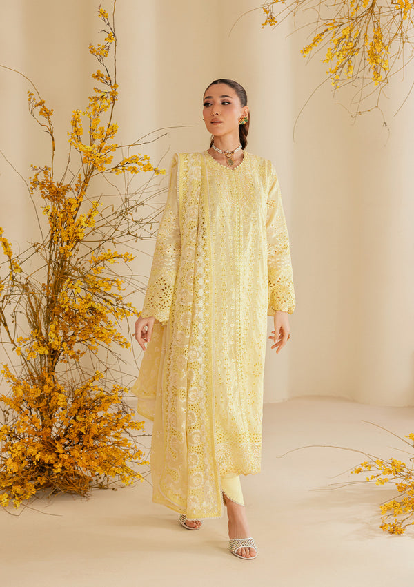 Aik Atelier | Lawn 26 | Look B2604A-4