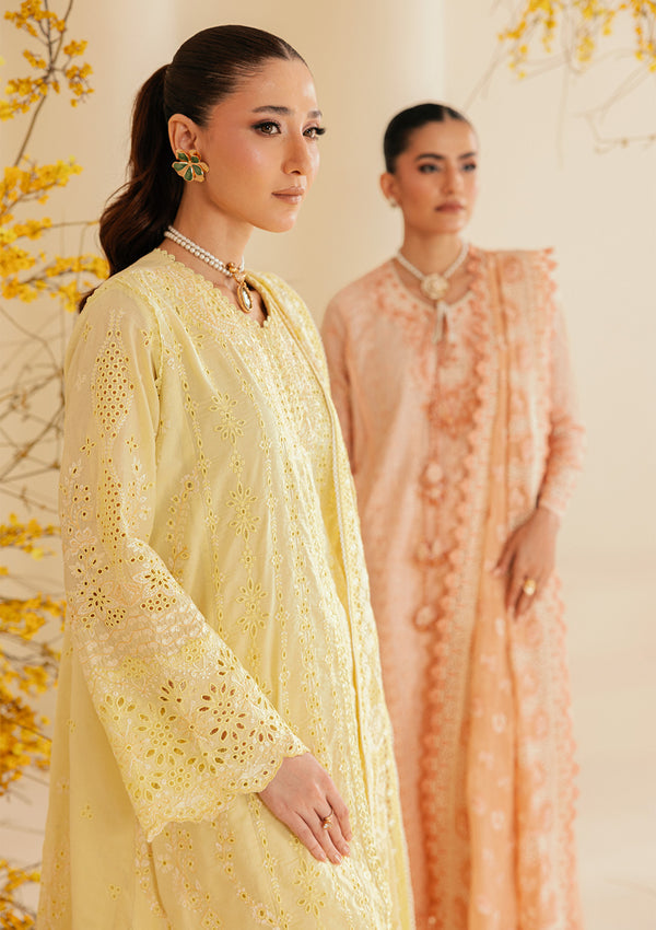 Aik Atelier | Lawn 26 | Look B2604A, image 5