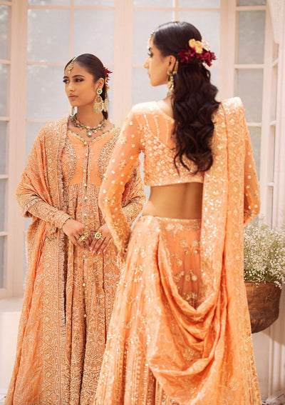 Aik Atelier | Wedding Formals | LOOK-06-Brand:Aik Atelier-Type:Ladies Clothes-Orange-Chiffon-House of Maryam- Buy in UK, USA