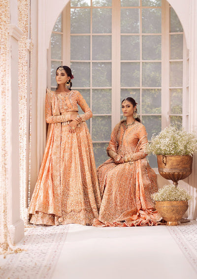 Aik Atelier | Wedding Formals | LOOK-06-Brand:Aik Atelier-Type:Ladies Clothes-Orange-Chiffon-House of Maryam- Buy in UK, USA