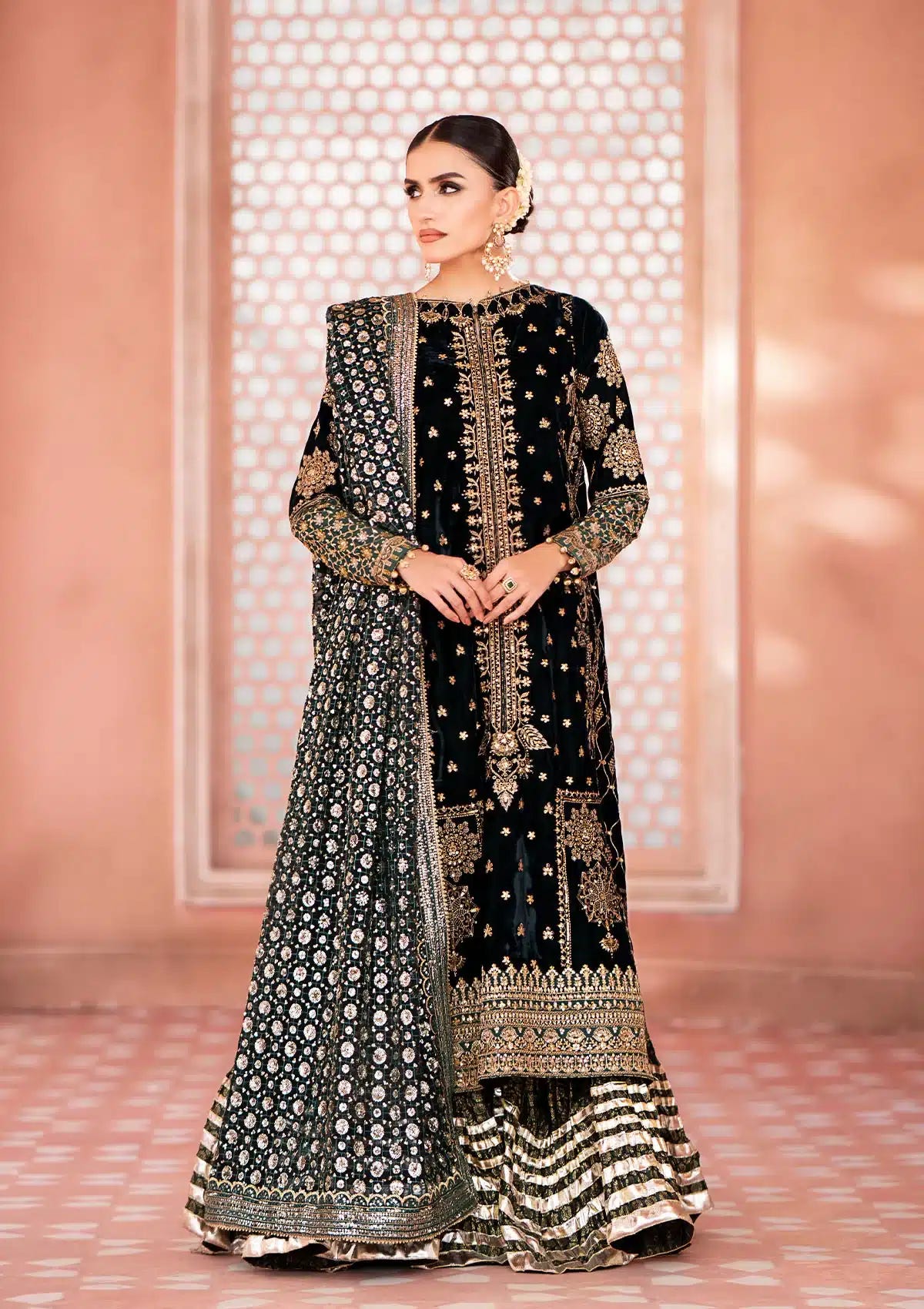 Aik Atelier | Zardozi Velvet 23 | 05 -  Aik Atelier Formal - Original Designer Dress - House of Maryam
