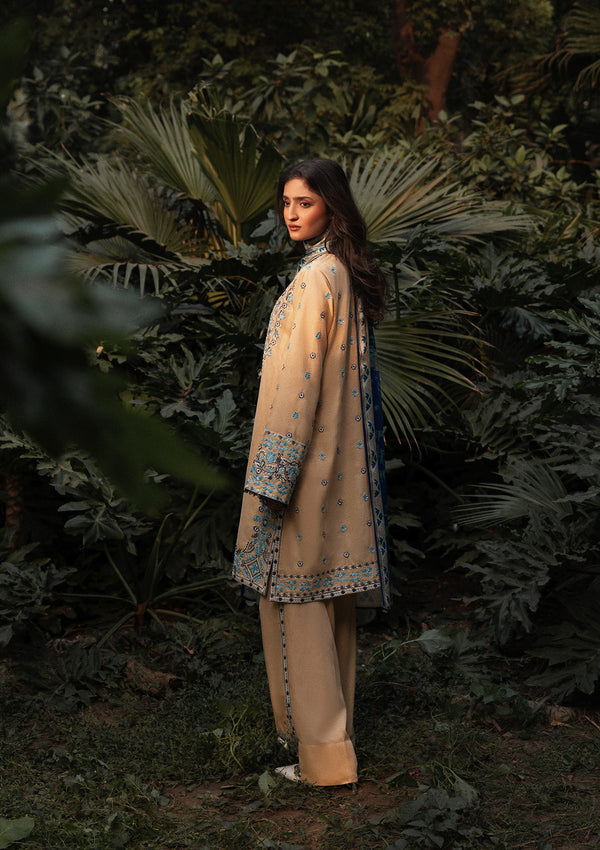 Aik Atelier Look 02 embroidered karandi suit, photo 2