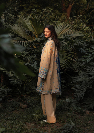 Aik Atelier Look 02 embroidered karandi suit, photo 2