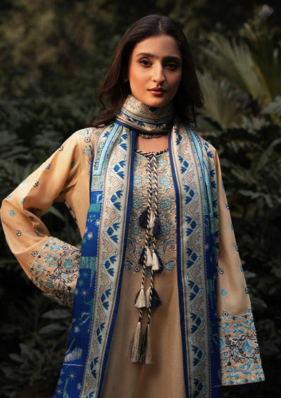 Aik Atelier Look 02 embroidered karandi suit, photo 3