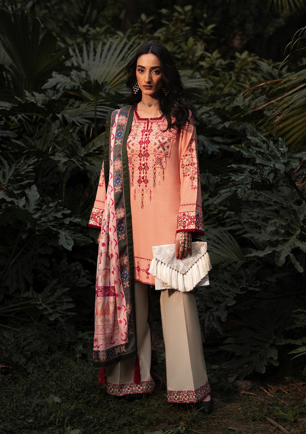 Aik Atelier Look 07 embroidered karandi suit
