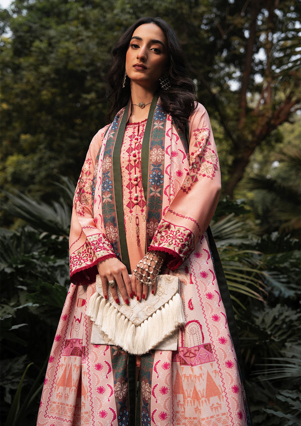 Aik Atelier Look 07 embroidered karandi suit, photo 4