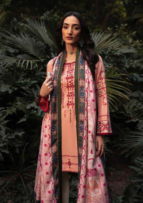 Aik Atelier Look 07 embroidered karandi suit, photo 3