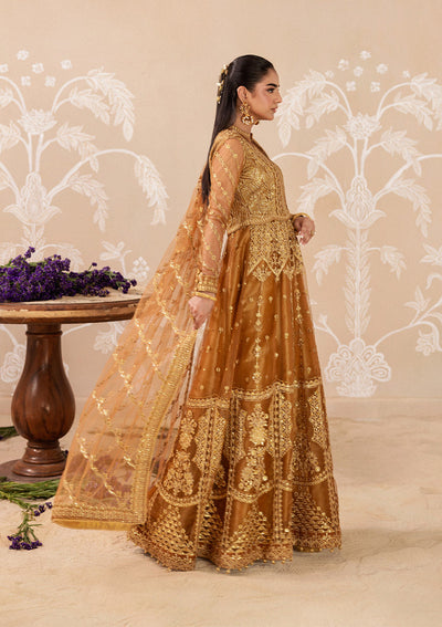 Aik Atelier | Aik Shaam 26 | AIK SHAAM - LOOK B2603