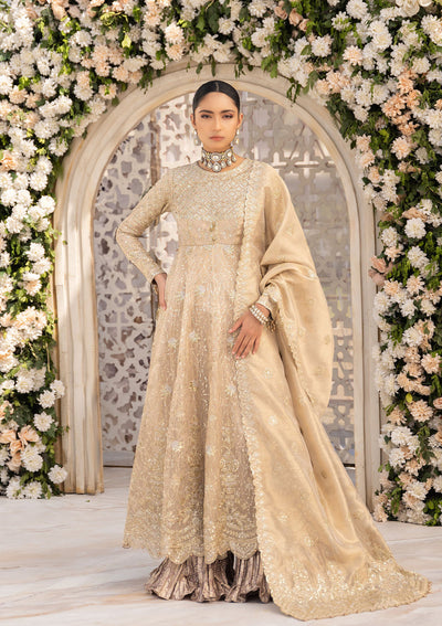 Aik Atelier | Formals Vol-1 24 | LOOK 06 -  Aik Atelier Formal - Original Designer Dress - House of Maryam
